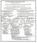 Ataturk-Secere-Hires.jpg